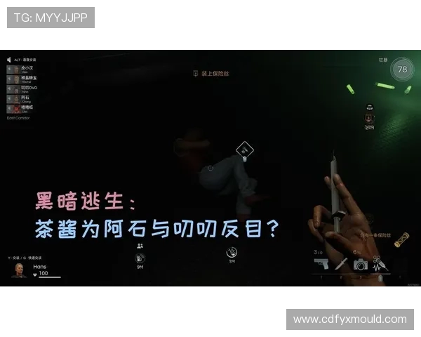 黑暗逃生2出现频繁崩溃的可能原因分析及解决思路探讨